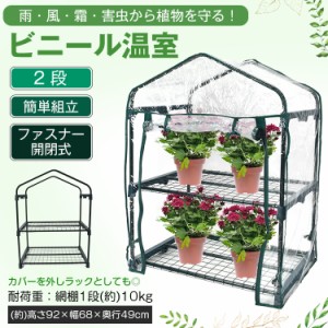 ビニール温室 2段 ビニールハウス ガーデンハウス 植物 ベランダ 小型 DIY 観葉植物 ガーデン フラワー ラック 家庭菜園 花 多肉植物 サ