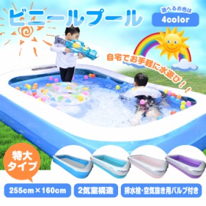 プール ビニールプール 大型 子供用 家庭用 大きい ファミリー 2気室 255cm×160cm 水遊び レジャー ウォーター zk025