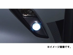 純正アクセサリー　マツダ　CX-3　DK　H27.02〜　イルミネーション　LEDフォグランプ　本体　D24HV4600