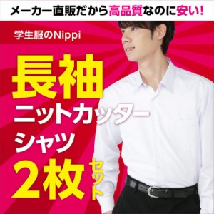 長袖 ニットシャツ 2枚セット A体 B体 ポリエステル90％ キュプラ10％ 形態安定 ノーアイロン 抗菌消臭 中学生 高校生 学生服 カッターシ