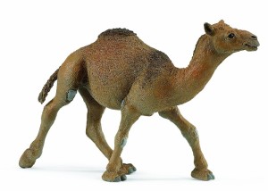 safari (サファリ)ヒトコブラクダ 222429【全商品・全在庫】【正規品】