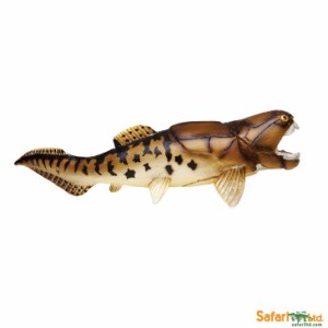 【全商品・全在庫】【正規品】safari (サファリ)ダンクレオステウス 283329