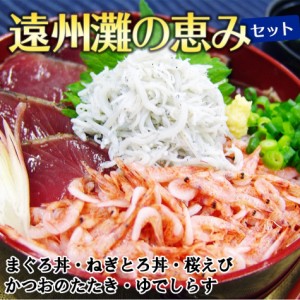 ＼ポイント消化！／ 遠州灘の恵みセット まぐろ丼 かつお 桜えび ゆでしらす 国産 遠州灘 静岡県 海鮮 詰め合わせ ギフト 内祝い 紅白 贈