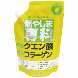 ＼ポイント消化！／ 【送料無料】【2個セット】燃やしま専科レモン風味（500ｇ入り）粉末清涼飲料 運動 便利 匂い アウトドア スポーツ 