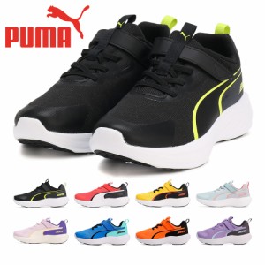 プーマ スニーカー キッズ 309935 スピード モンスタｰ Z 新作 01 02 03 04 05 PUMA