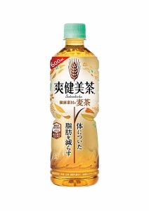 爽健美茶 健康素材の麦茶 お茶 600ml×24本×2ケース 機能性表示食品 コカコーラ