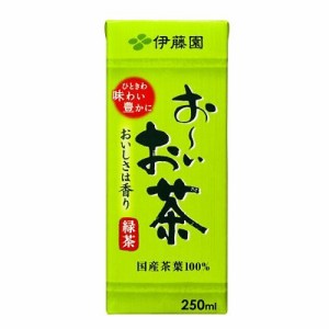 お茶 紙パック おーいお茶 緑茶 250ml×24本 伊藤園 お〜いお茶