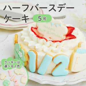 ハーフバースデーケーキ 5号 15cm 4〜6人分 6ヶ月 誕生日 バースデー アイシングクッキー付きデコレーションケーキ