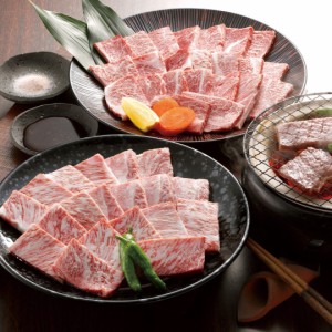 宮崎牛 ブランド牛 銘柄牛 国産 黒毛和牛 和牛 牛肉  5等級 焼肉 肩ロース肉 もも肉 BBQ 焼肉 冷凍 グルメ ギフト 贈り物 中元 歳暮 お取