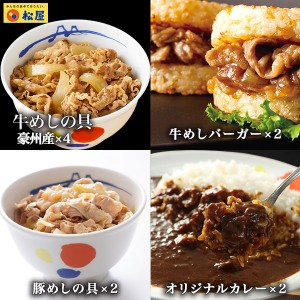 松屋 バラエティセット（10食）(牛めし/豚めし/オリジナルカレー/牛めしバーガー）牛丼 冷凍  (冷凍食品 冷凍 牛丼 牛めし 牛丼の具