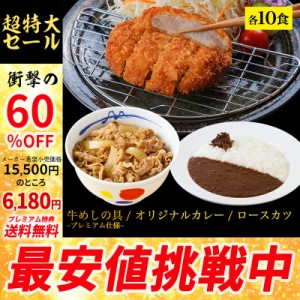 【メーカー希望小売価格15500円→6180円】【プレミアム特典送料無料】ロースかつカレー10食セット（ロースかつ×10　オリジナルカレー×1