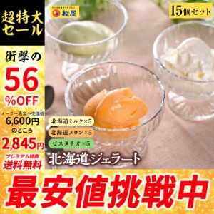 【メーカー希望小売価格6600円→2845円】【プレミアム特典送料無料】松屋 北海道100％生乳を使用した特製ジェラート 各種5個ずつ 15個セ