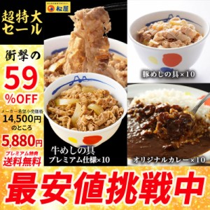 【メーカー希望小売価格14500円→5880円】【プレミアム特典送料無料】【松屋】全部盛り30個 牛めしの具(プレミアム仕様)×10 豚めしの具