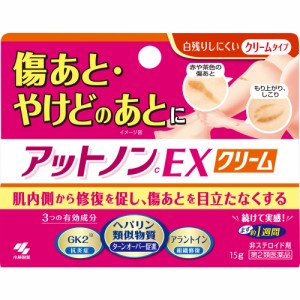 【第2類医薬品】 小林製薬 アットノンcEX クリーム 15g 【送料込/メール便発送】