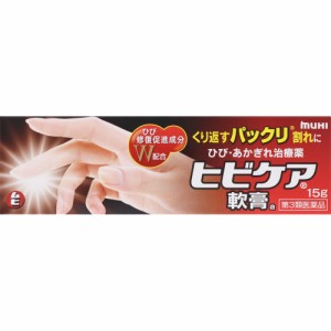 【第3類医薬品】 池田模範堂 ヒビケア軟膏 15g 【送料込/メール便発送】