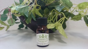 香寺ハーブガーデン エッセンシャルオイル (アウトドアブレンド) 10ml 【送料込/メール便発送】