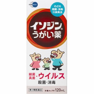 【第3類医薬品】 塩野義製薬 イソジンうがい薬 120mL 【送料込/メール便発送】