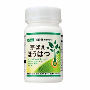 エフエムジー＆ミッション 芽ばえ ほうはつ  350mg×90粒 【送料込/メール便発送】