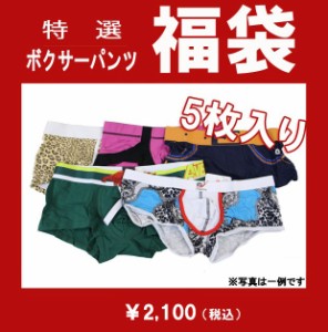 ボクサー　男性下着　メンズ　セクシーインナー 【5枚入り】 ボクサーパンツ 詰込み福袋 エンスタイル　fs03