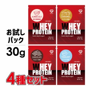 GronG(グロング) ホエイプロテイン100 ベーシック トライアルパック 30g 4種セット