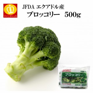 ジェフダ エクアドル産ブロッコリー 500g 冷凍野菜 健康 カットやさい