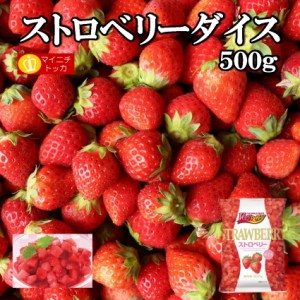 冷凍果実 ストロベリーダイス500g 製菓 ケーキ  クレープ ホットケーキミックス 在宅調理 冷凍食品 クリスマス