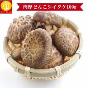 どんこしいたけ 肉厚 たっぷり100g 御吸い物 バーベキュー 椎茸 だし