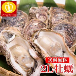 岡山県産牡蠣 かき カキ 送料無料 ビックサイズ ２Lサイズ 1キロ(NET850g) 冷凍 むき身 カキフライ 牡蠣鍋 業務用