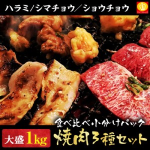 焼肉 焼肉セット 1kgセット タレ漬け ハラミ ホルモン  ハラミ500g シマチョウ250g ショウチョウ250g 食べ比べセット BBQ バーベキュー 