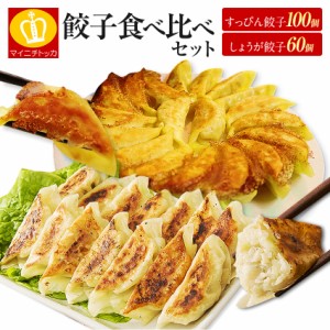 すっぴん餃子100個 ＋ しょうが餃子60個 食べ比べセット 送料無料 2種セット ぎょうざ