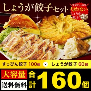 半額クーポンで★3,380円!!【大容量160個】餃子 ぎょうざ すっぴん餃子100個 しょうが餃子60個 食べ比べ セット 送料無料 すっぴん餃子 