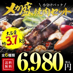 送料無料 焼肉 BBQ バーベキュー 焼き肉 15人前３キロセット ハラミ 訳あり でない 