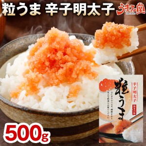 粒うま 辛子明太子 500g×1箱 お試し 送料無料 バラ子 博多 明太子 お試し ポイント消化 魚卵 食品 グルメ 土産 ご飯のお供 酒の肴 プレ