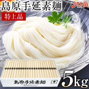 島原手延素麺 特上品 5kg (50g×100束) 古糸の宴 そうめん 宅配 送料無料 大容量 お徳用 長崎県産 手延べ 素麺 にゅうめん ポイント消化 