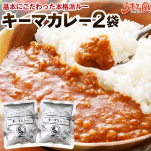 キーマカレー 辛口 180g×2袋 送料無料 激辛 レトルト ご当地 食品 セール ご飯 のお供に 豚肉 お試し 保存食 非常食 常温 ポイント消化 