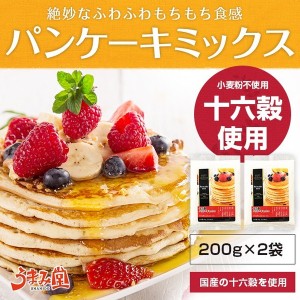 十六穀 パンケーキミックス 200g×2袋 1000円 ポッキリ 送料無料 ポイント消化 お試し 米粉 雑穀 国内産 グルメ ギフト 食品 冬 うちごは