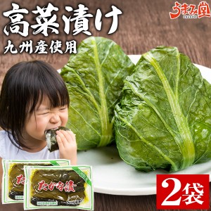 高菜漬け 250g×2袋 九州産 送料無料 高菜 漬け物 鹿児島県 博多 福岡名物 辛子高菜 油炒め にも 国産 めはり寿司 ご飯のお供 漬物 たか