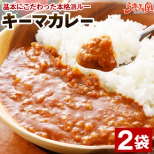 キーマカレー 辛口 180g×2袋 送料無料 激辛 レトルト ご当地 食品 セール ご飯 のお供に 豚肉 お試し 保存食 非常食 常温 ポイント消化 