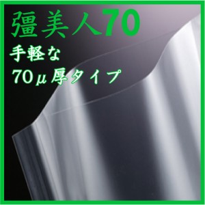 彊美人XS-1318（70μ） 3000枚_【送料無料】_業務用_ナイロンポリ_真空パック