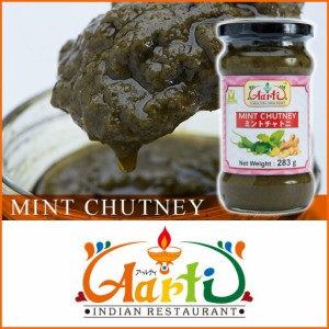 ミントチャトニ 283g 1本【チャツネ】 【調味料 ソース Vegetarian みんと MINT Achar インド料理 インドカレー】