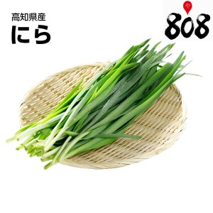 【送料別】【高知県産】ニラ 1パック 約100g【野菜詰め合わせセットと同梱で送料無料】おうち時間/巣ごもり消費/自炊/フードロス/野菜/や