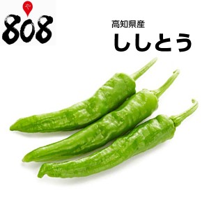 【高知県産】ししとう　大きさお任せ　1パック【野菜詰め合わせセットと同梱で送料無料】【送料別】旬の味覚/グルメ/野菜/セット/詰め合