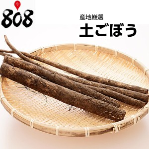 【産地厳選】採れたて土ごぼう　1パック　約800g【野菜詰め合わせセットと同梱で送料無料】【送料別】ごぼう/ゴボウ/敬老の日/旬の味覚/