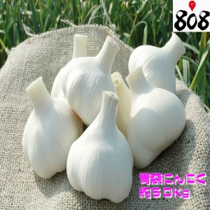 【青森県産】低農薬 にんにく ホワイト六片 大きさおまかせ　1個　約50g【野菜詰め合わせセットと同梱で送料無料】【送料別】/敬老の日