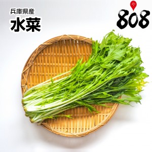 【送料別】【兵庫県産】水菜　1束　約150g【野菜詰め合わせセットと同梱で送料無料】おうち時間/巣ごもり消費/自炊/フードロス/健康/栄養