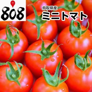 【西日本産】ミニトマト　1パック　約200g【野菜詰め合わせセットと同梱で送料無料】【送料別】とまと/トマトジュース/トマトケチャップ/