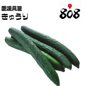 【愛媛県産】きゅうり　1パック　約300g【野菜詰め合わせセットと同梱で送料無料】【送料別】キュウリ/胡瓜/漬物/キムチ