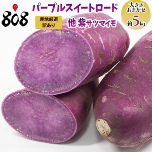 【送料無料】【産地厳選】訳あり　パープルスイートロード他紫サツマイモ　大きさお任せ　約5kg(北海道沖縄別途送料加算)焼き芋/煮物/さ