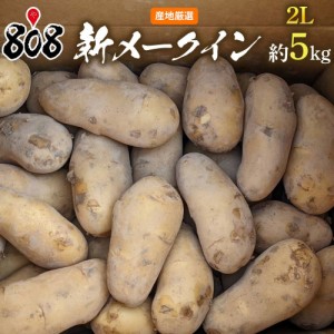 【送料無料】【長崎県産】新メークイン　2Lサイズ　約5kg(北海道沖縄別途送料加算)メイクイーン/じゃがいも/ジャガイモ/じゃが芋/ジャガ