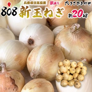 【送料無料】【兵庫県淡路島産】訳あり新玉ねぎ　大きさおまかせ　約20kg(北海道沖縄別途送料加算)産地直送仕入れ/あわじしま/淡路島/お